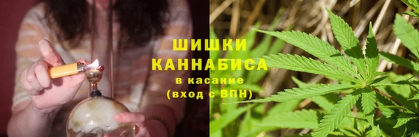 PSILOCYBIN Баксан